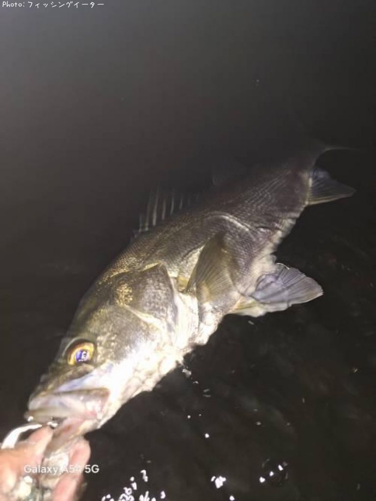 �����Х�