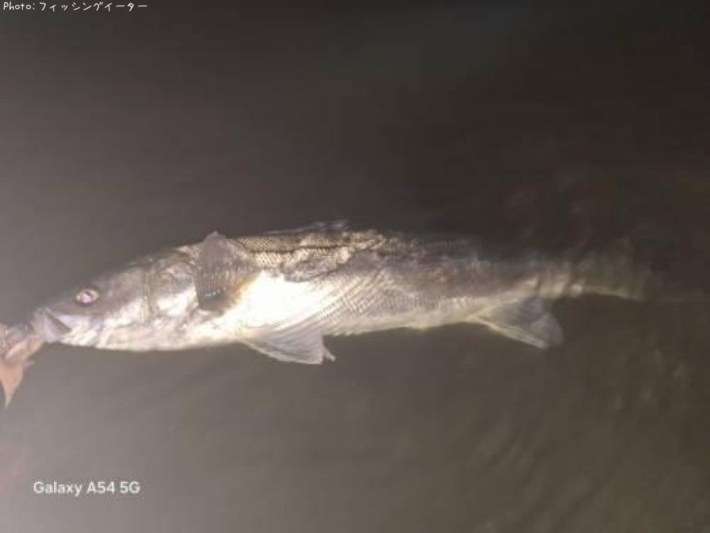 �����Х�