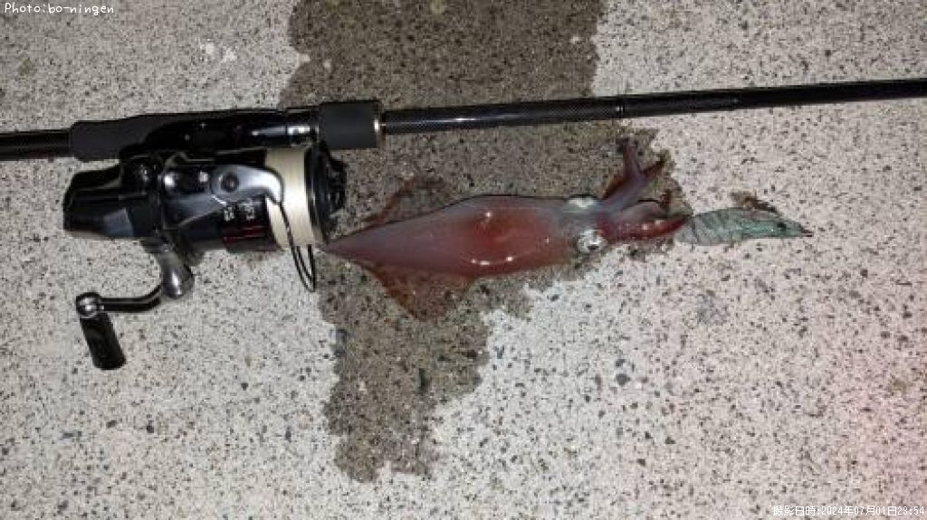 ���󥵥�����