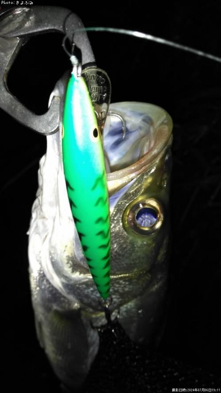 �����Х�