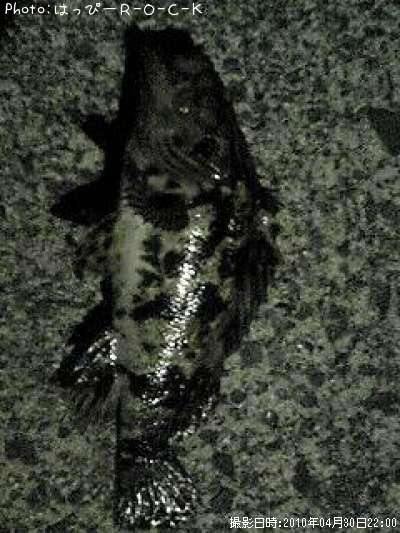 �٥å�������