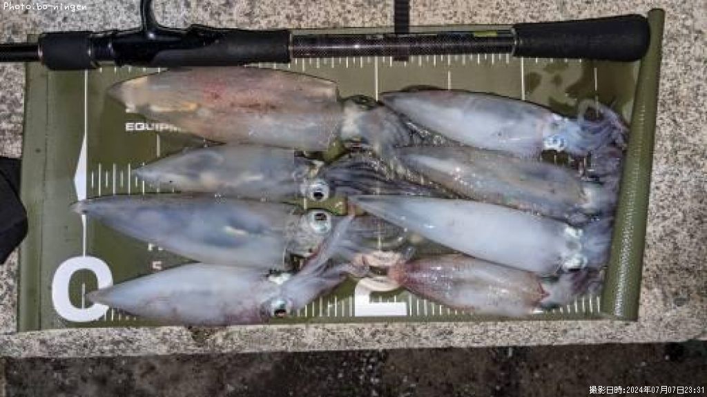 ���󥵥�����