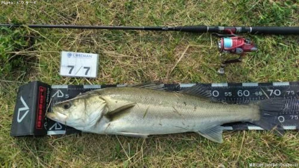 �����Х�