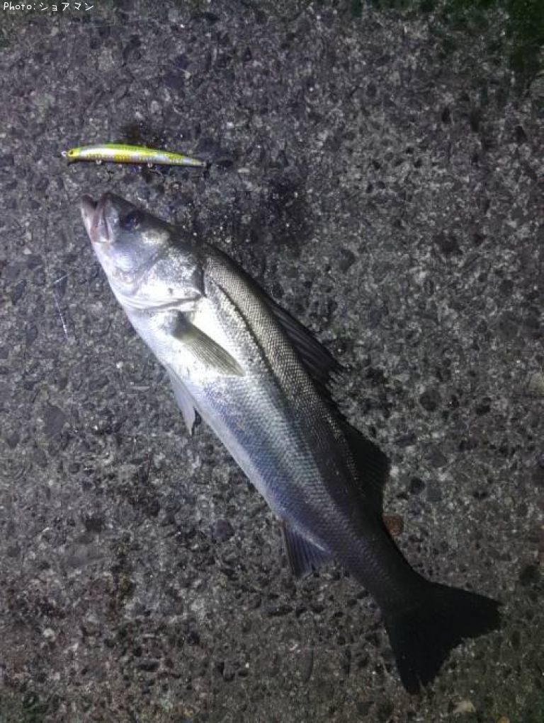 �����Х�