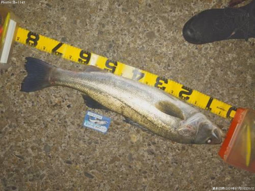 �����Х�