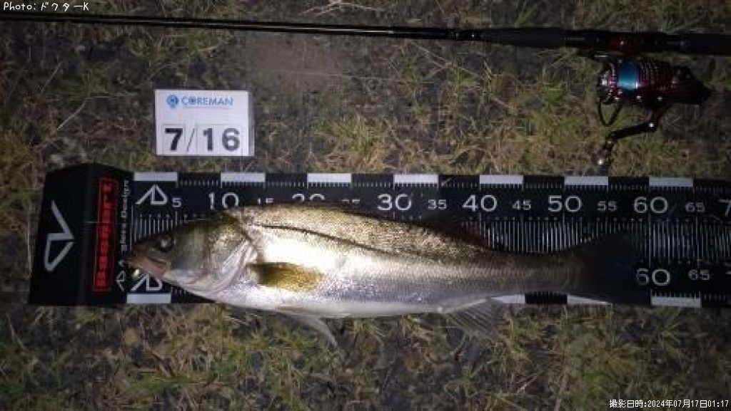 �����Х�