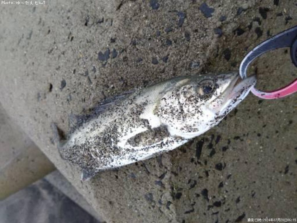 �����Х�