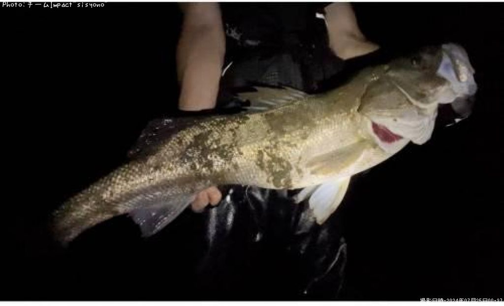 �����Х�