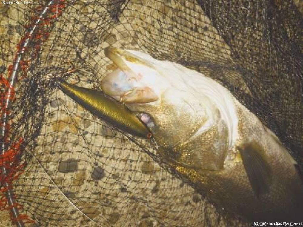 �����Х�