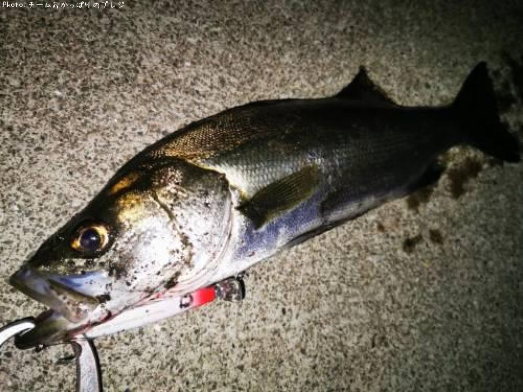 �����Х�