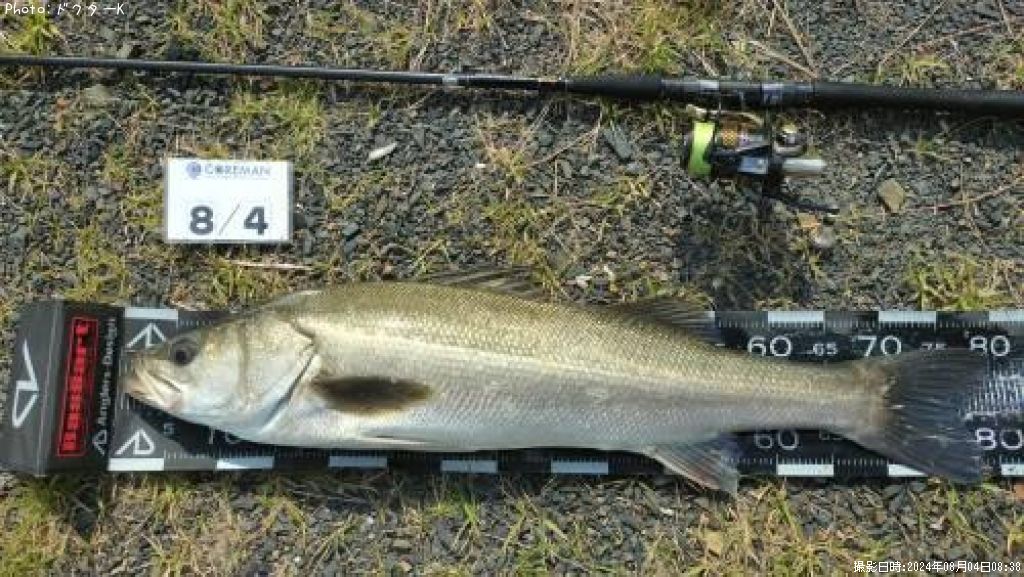 �����Х�