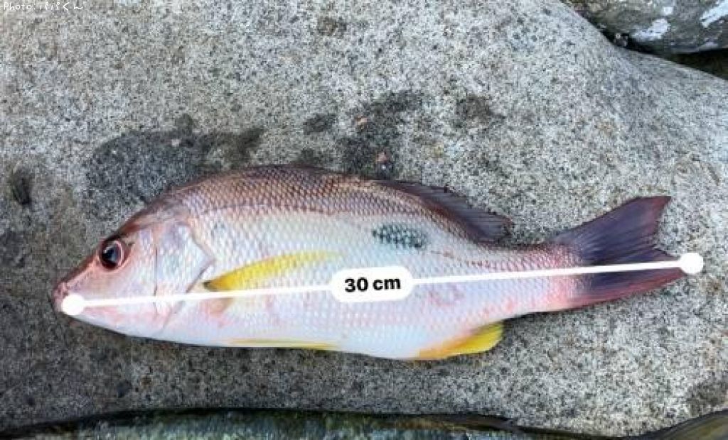 �����ۥ��ե�����