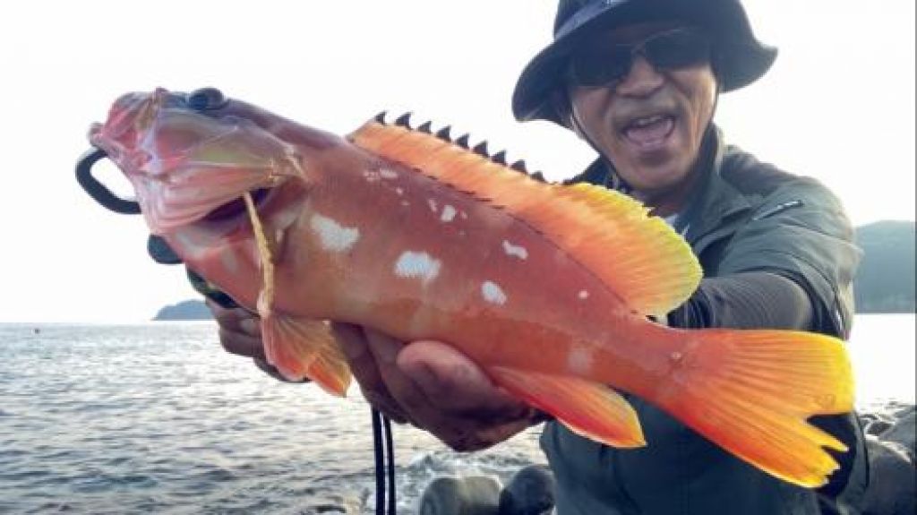 �����ϥ�