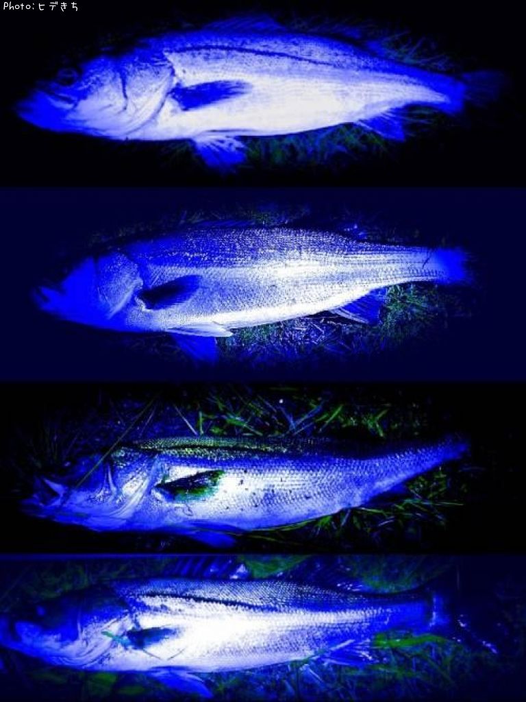 �����Х�