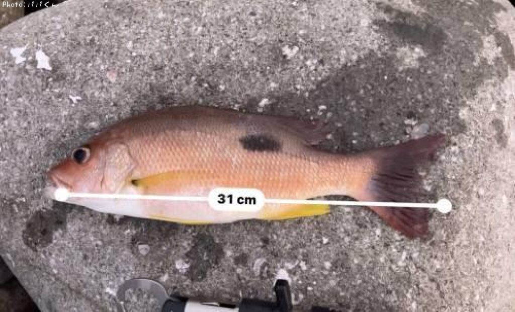 �����ۥ��ե�����