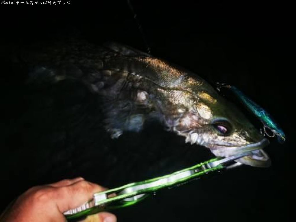 �����Х�