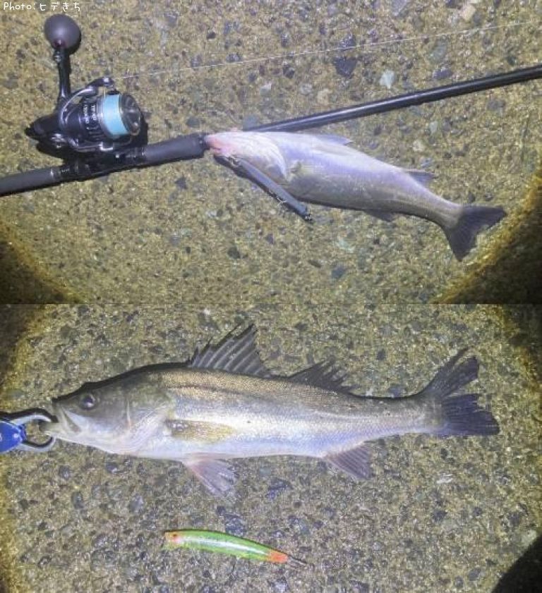 �����Х�