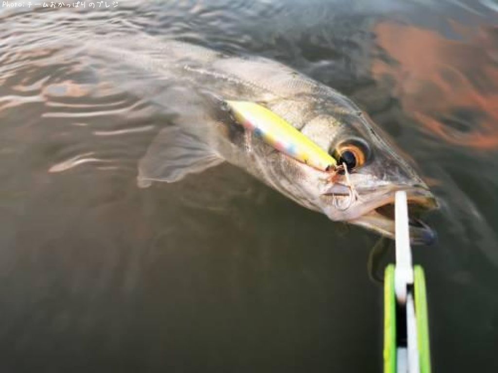 �����Х�