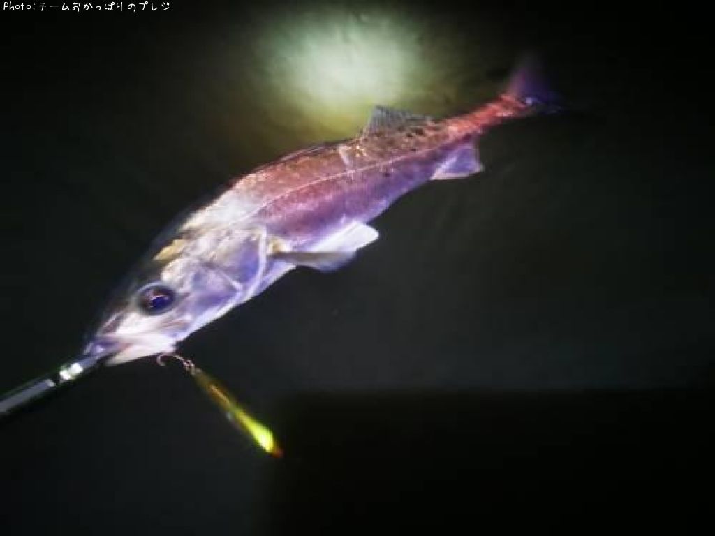 �����Х�