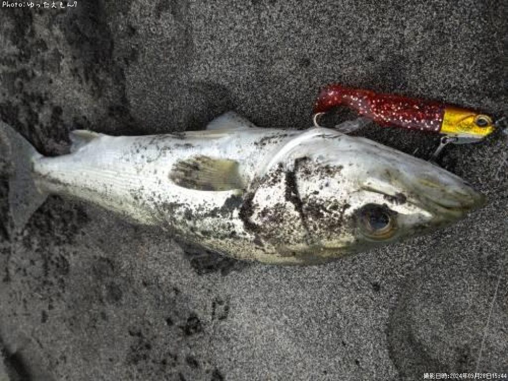 �����Х�