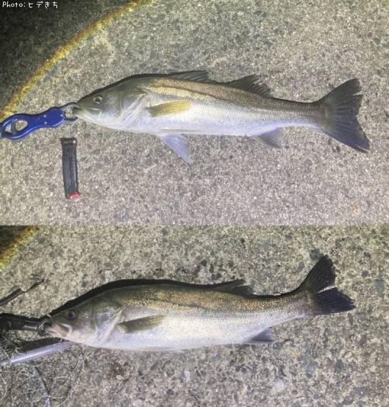 �����Х�