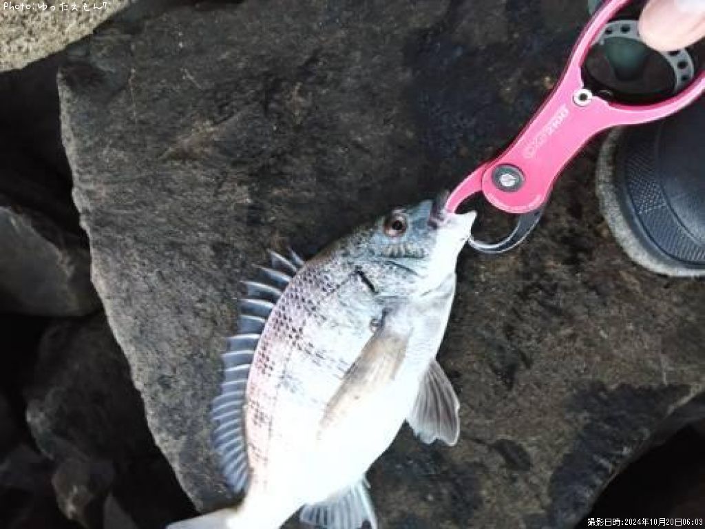 ��������