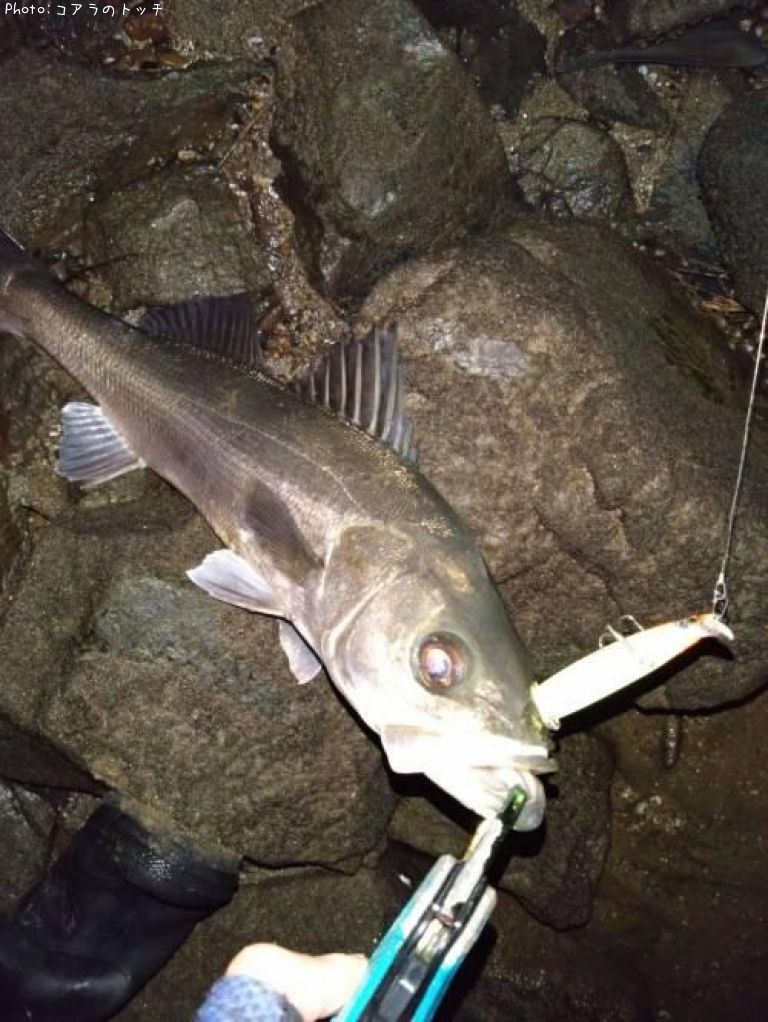 �����Х�