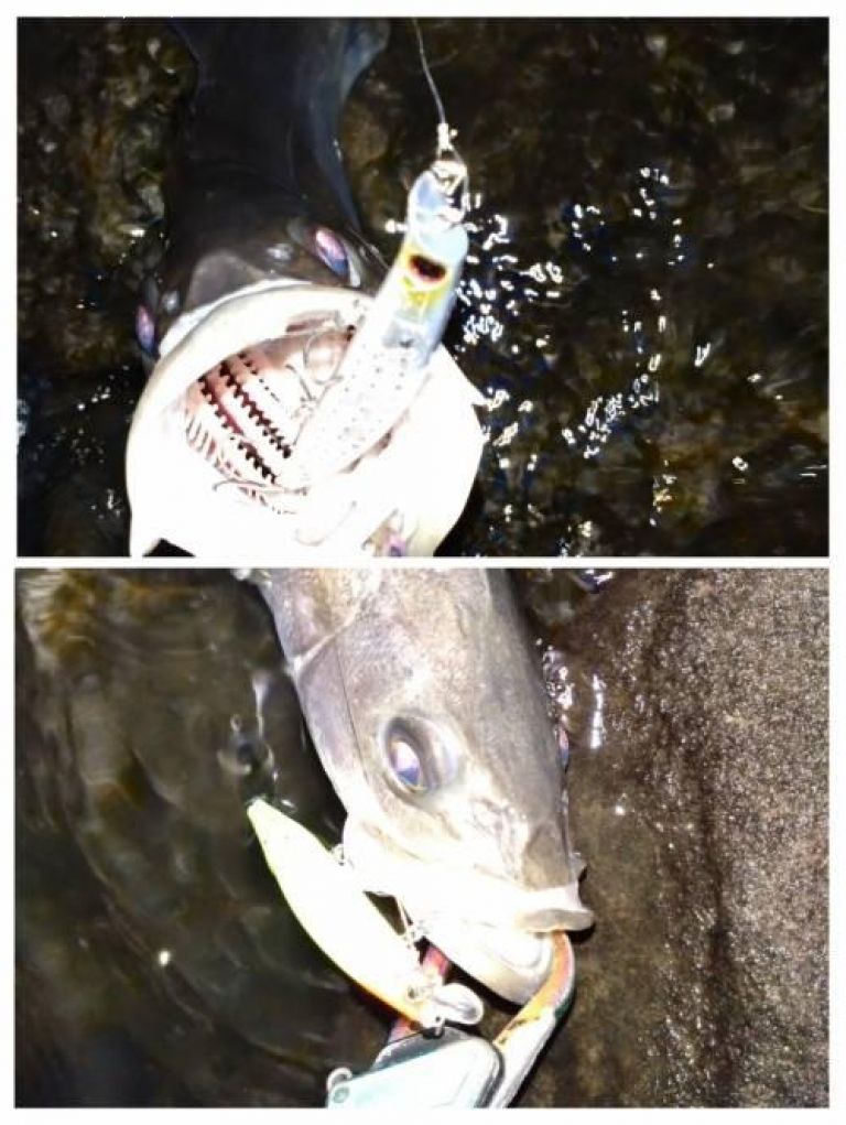 �����Х�