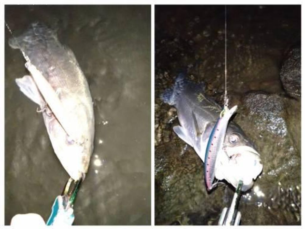 �����Х�