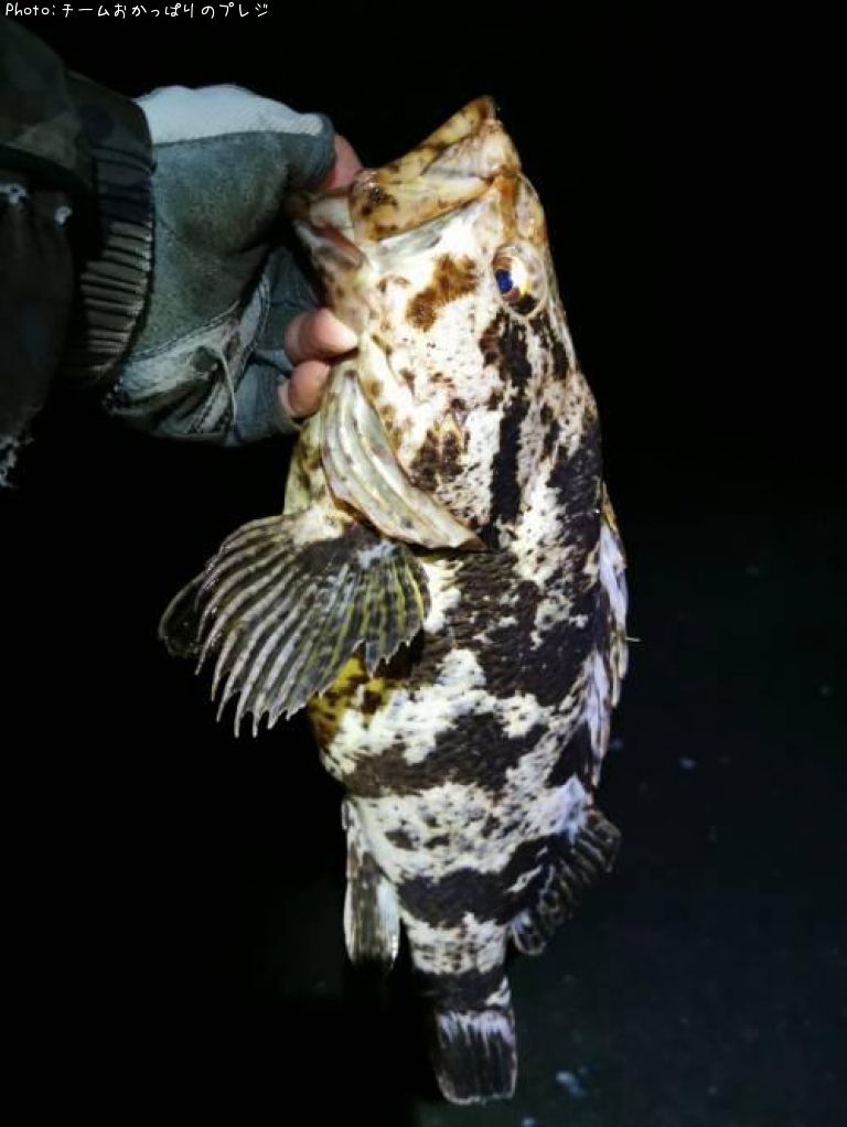 �����Υ���Х�