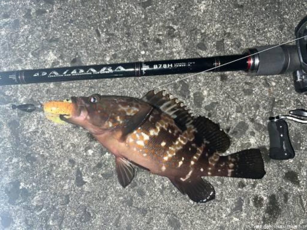 �����ϥ�