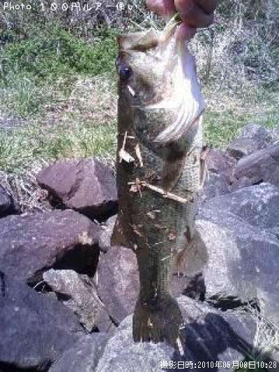 �֥�å��Х�