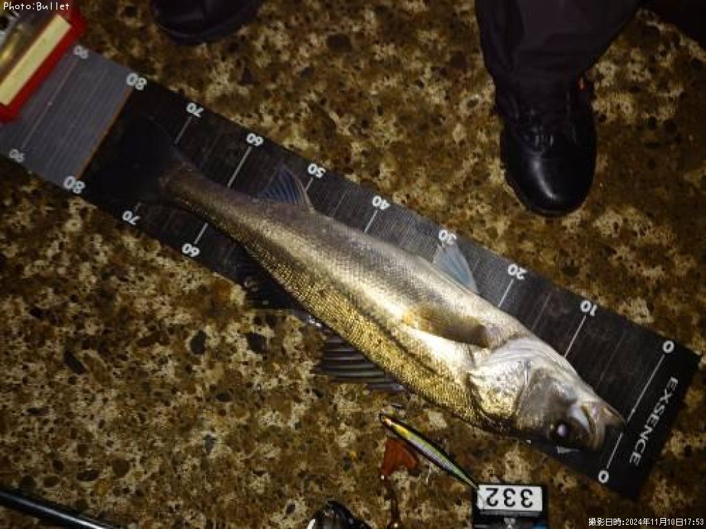 �����Х�