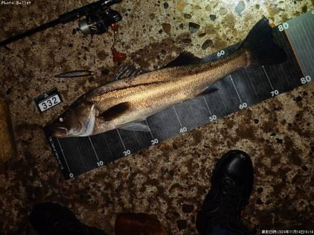 �����Х�