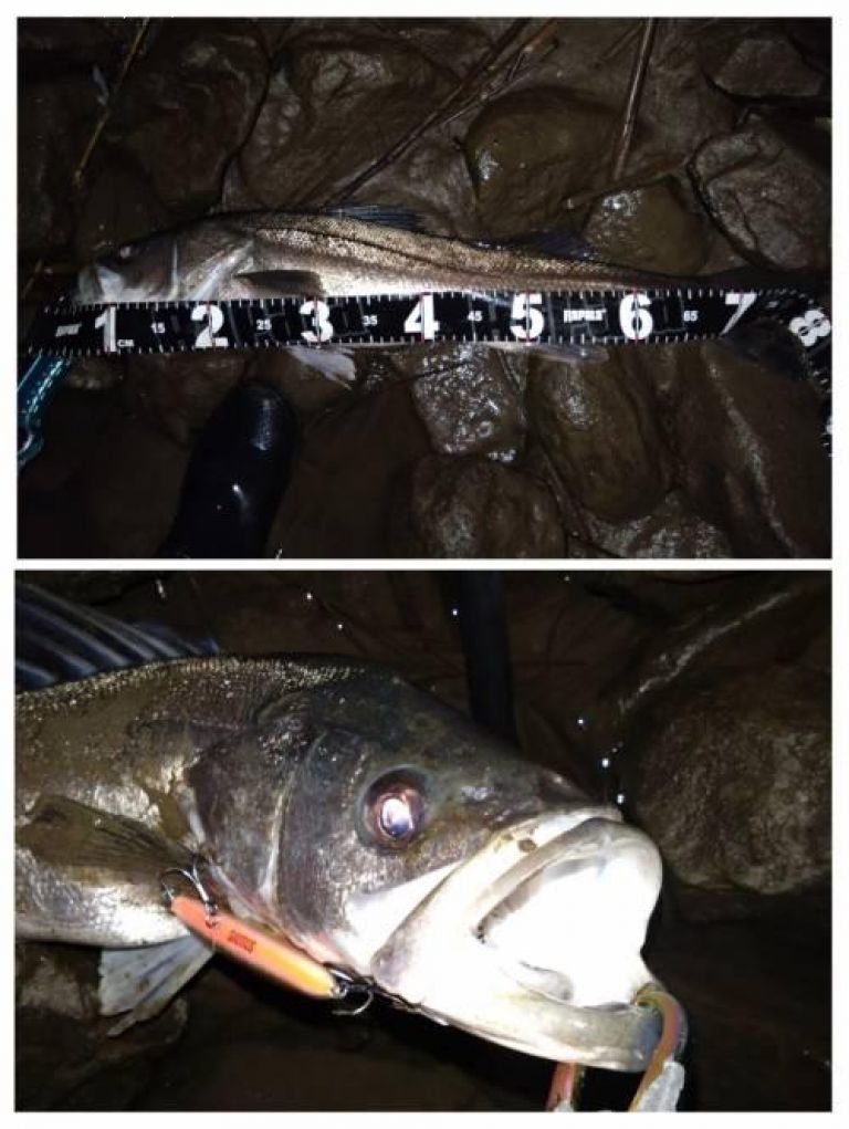 �����Х�