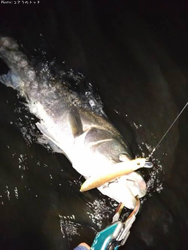 �����Х�