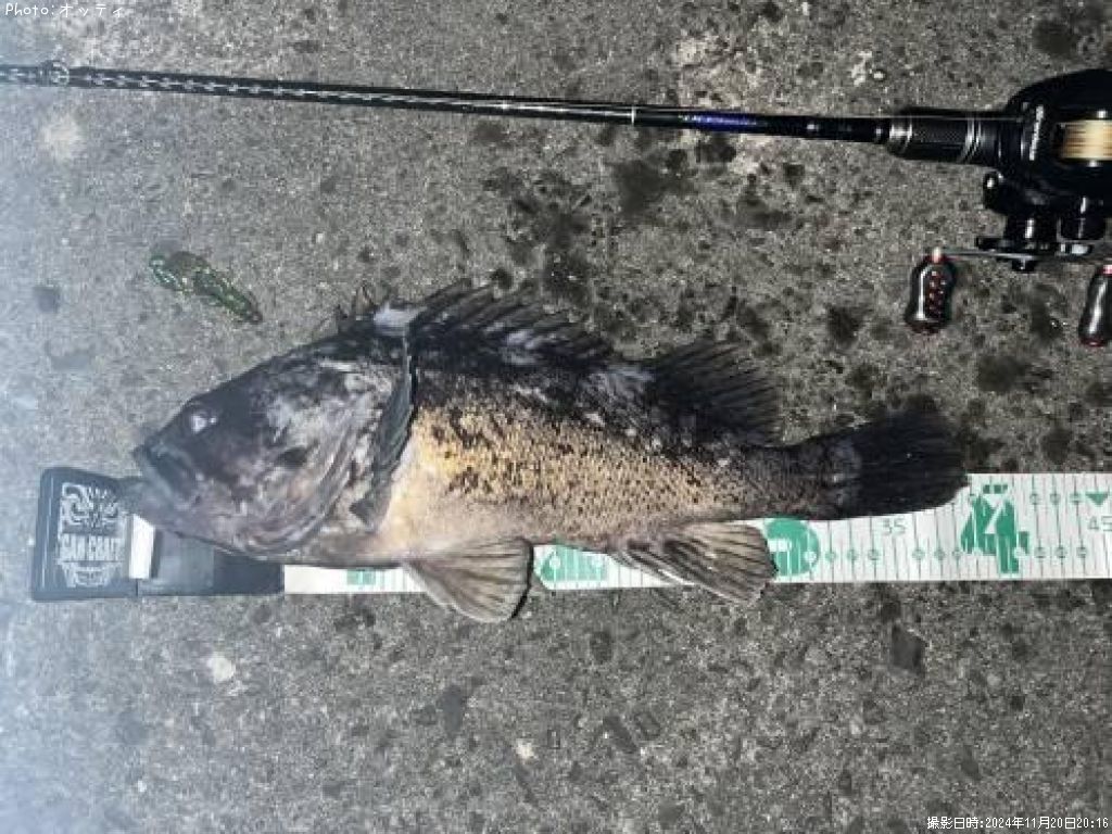 ��������