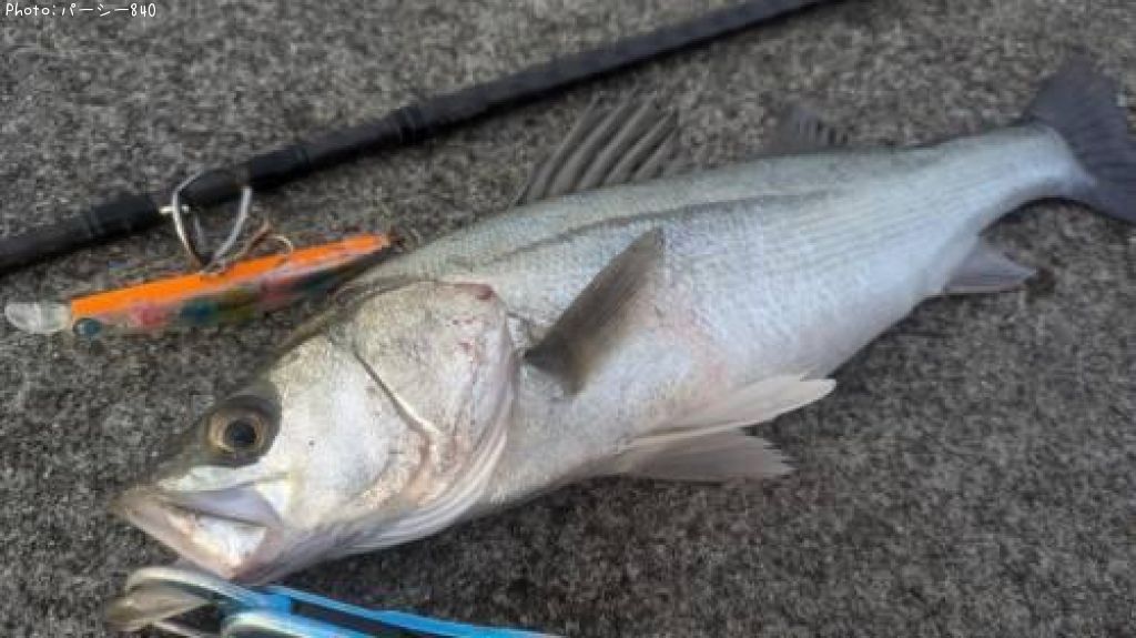 �����Х�