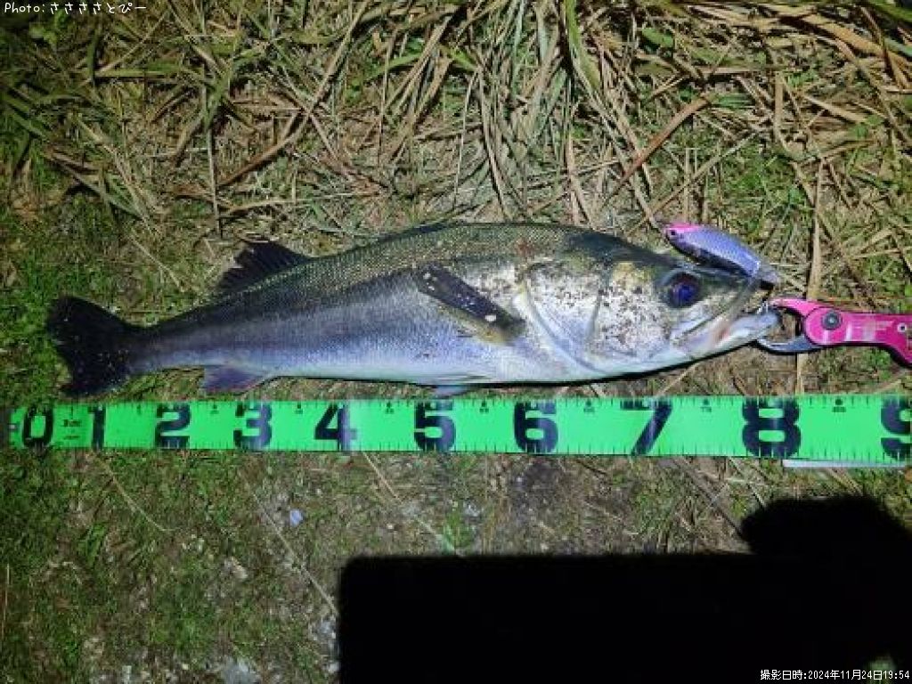 �����Х�