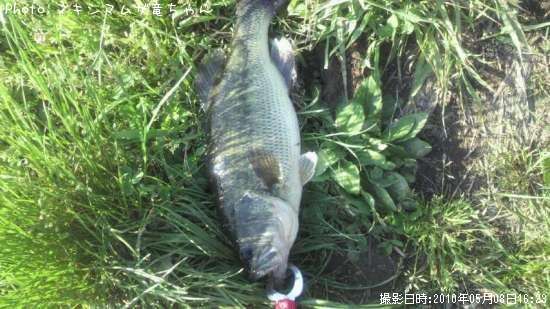 �֥�å��Х�