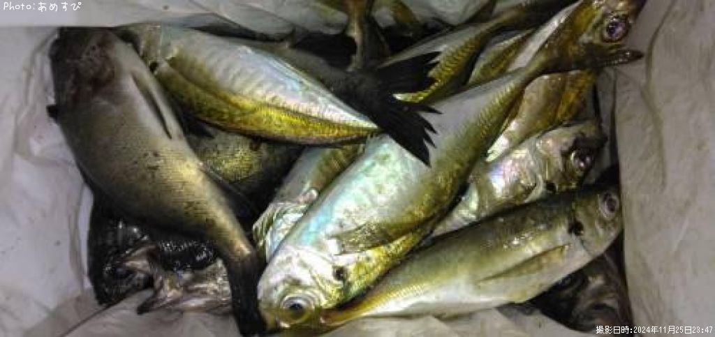 ��������Х�