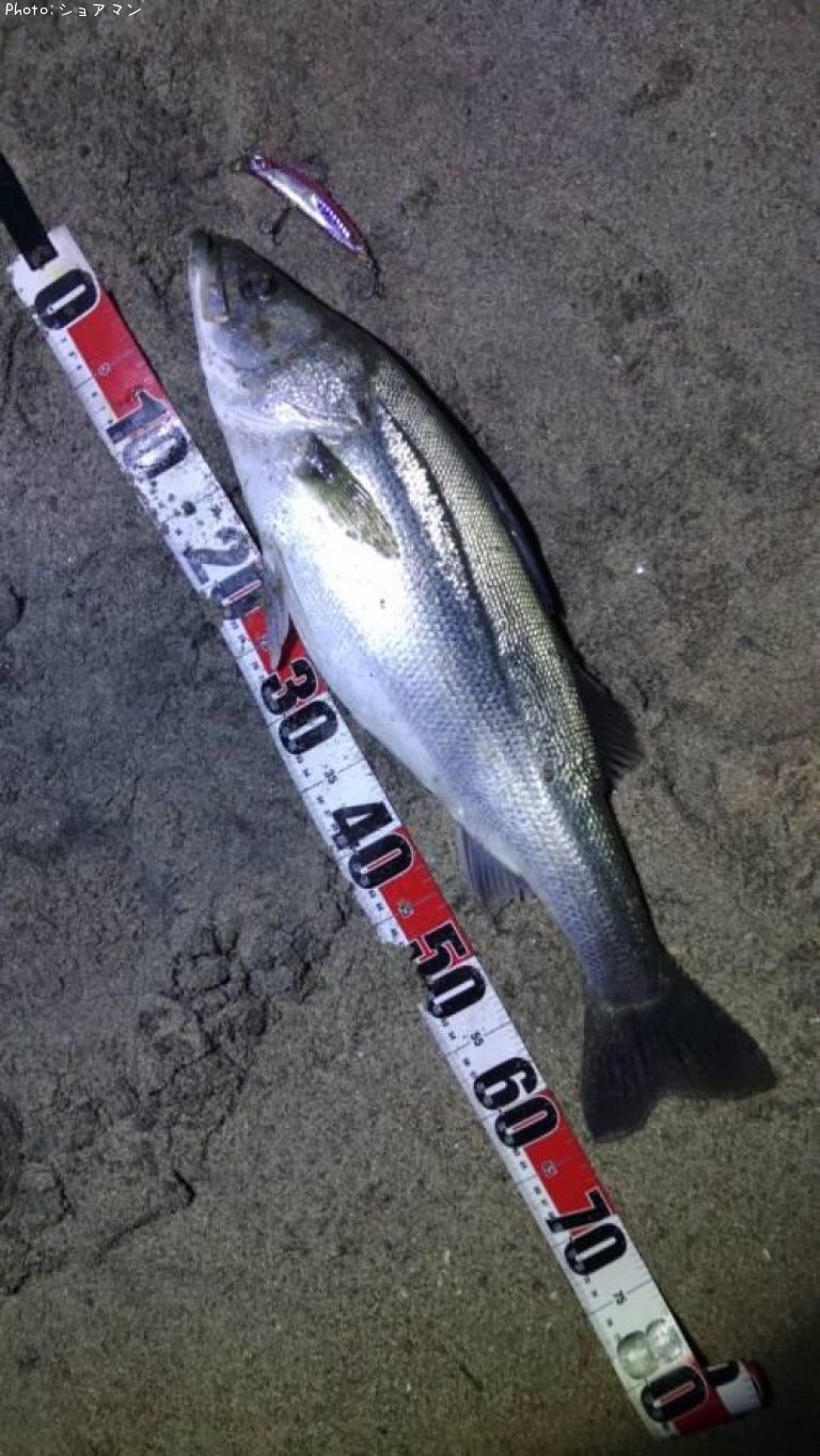 �����Х�