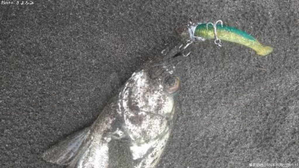 �����Х�