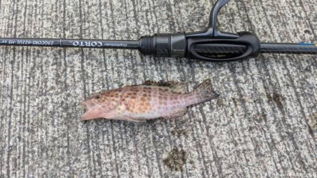 �������ϥ�