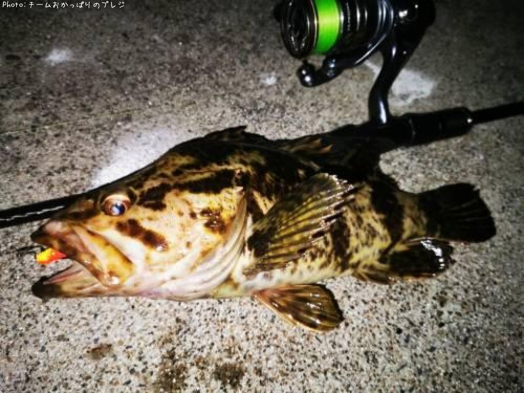 �����Υ���Х�