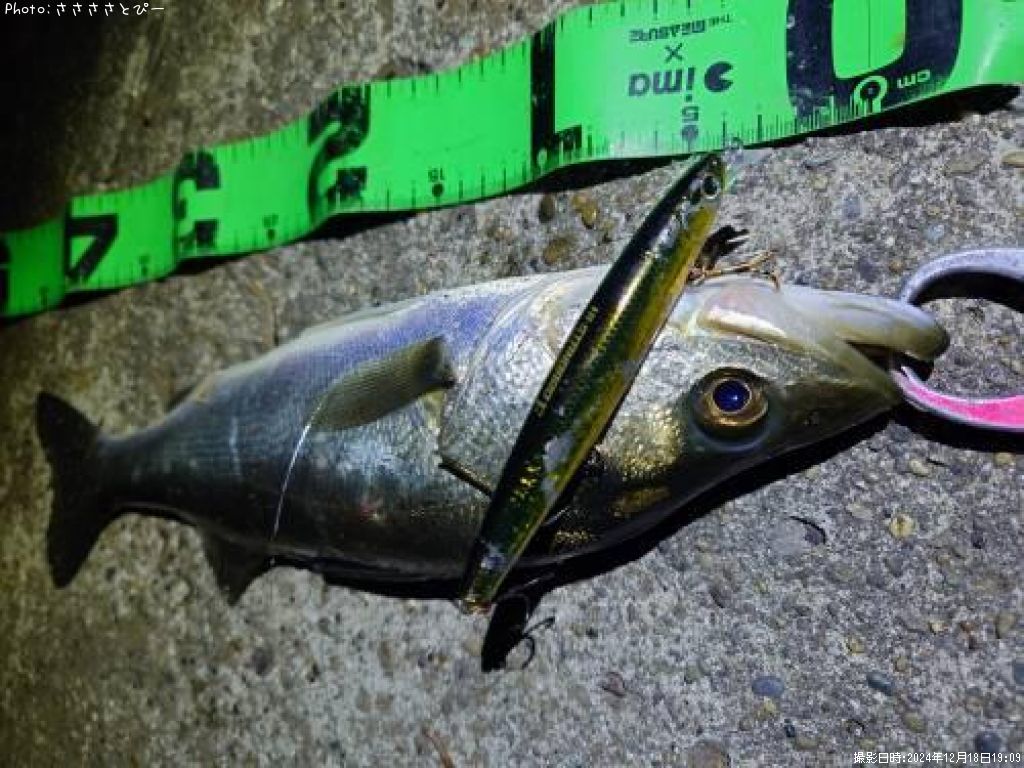 �����Х�