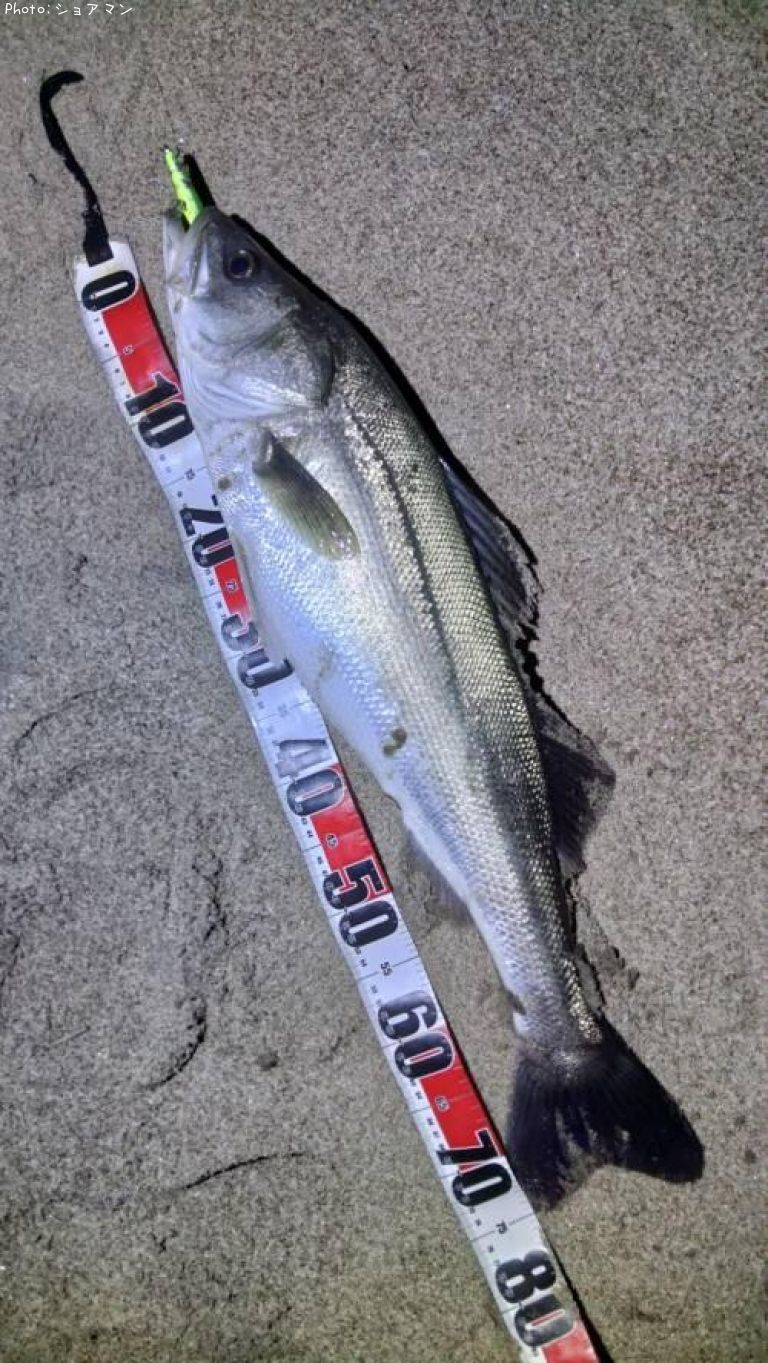 �����Х�