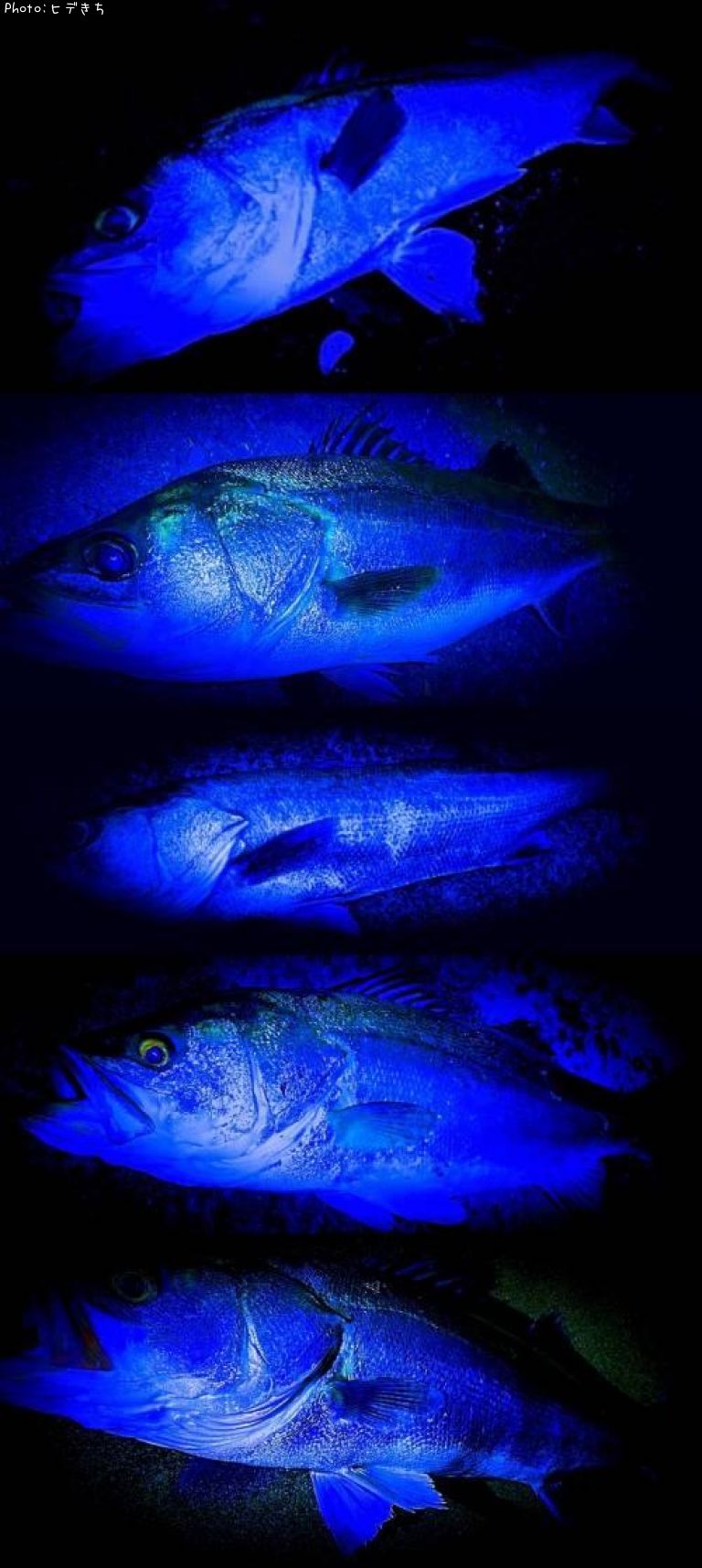 �����Х�