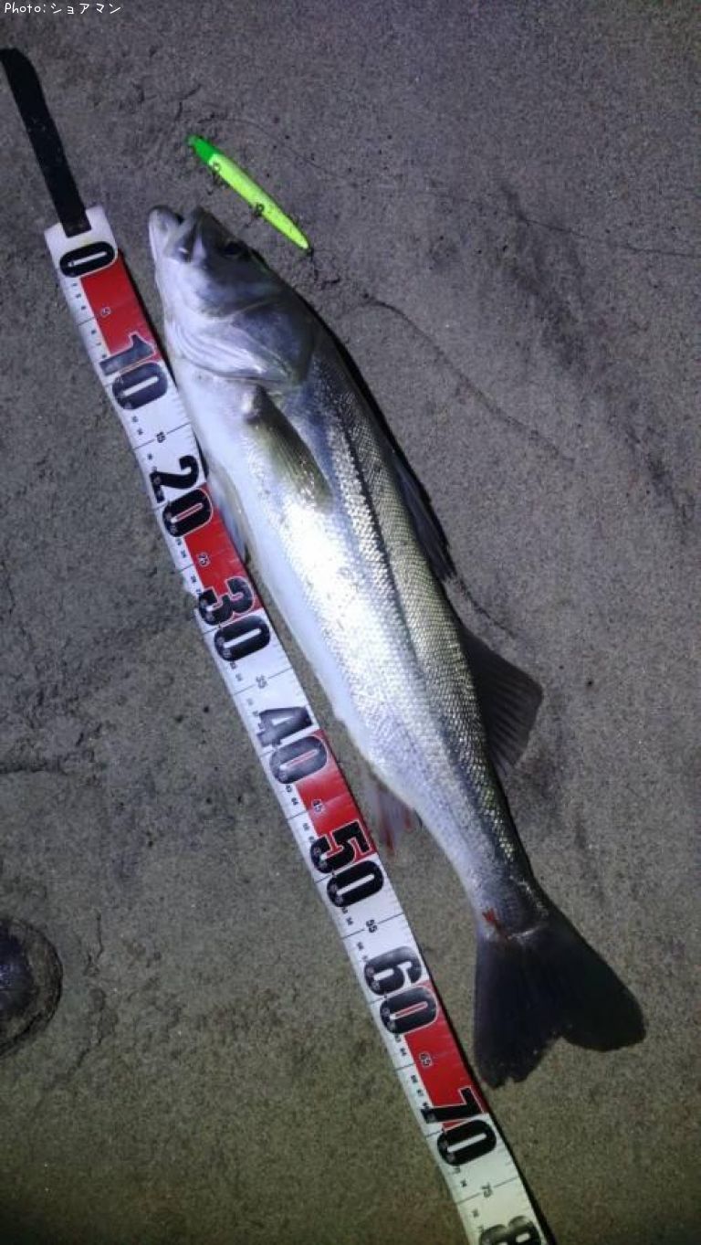 �����Х�