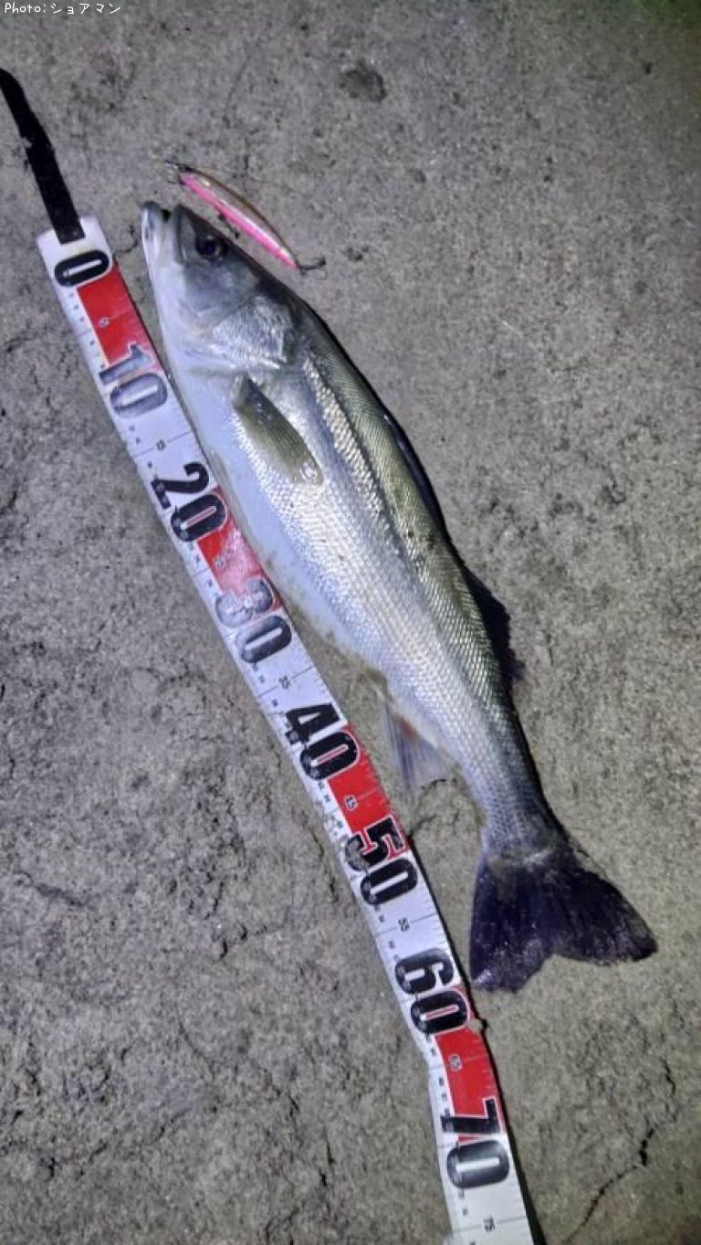 �����Х�